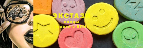 индика Володарск