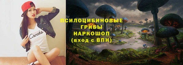 индика Володарск