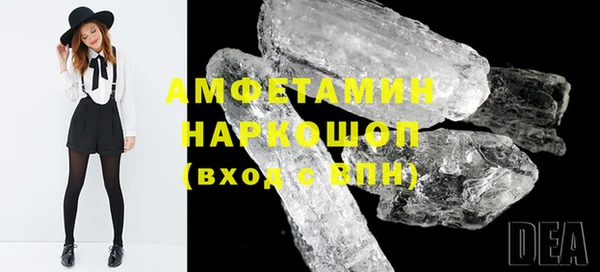 индика Володарск