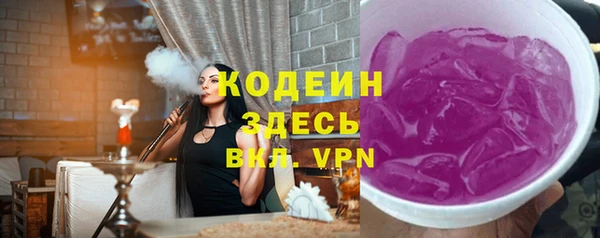 индика Володарск