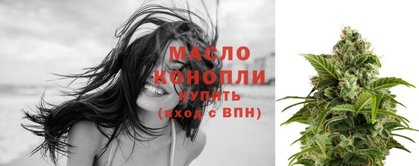 индика Володарск