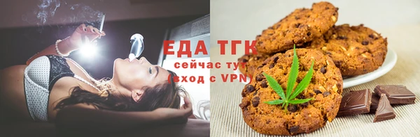 индика Володарск