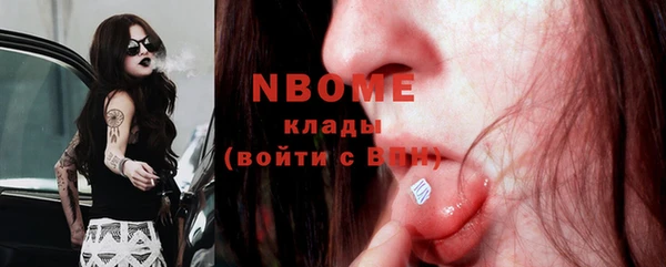 прущие грибы Волосово