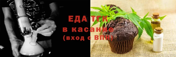 индика Володарск