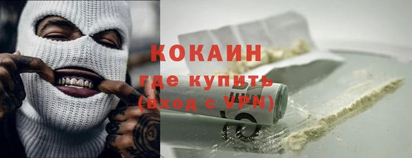 индика Володарск