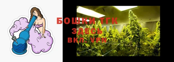 прущие грибы Волосово
