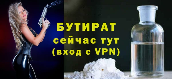 индика Володарск