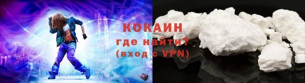 индика Володарск