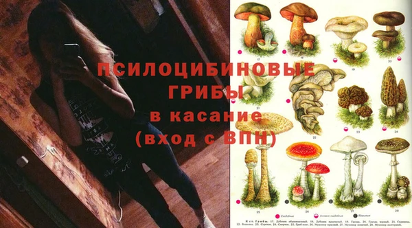 индика Володарск