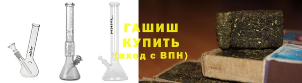 прущие грибы Волосово