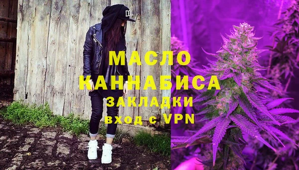 индика Володарск