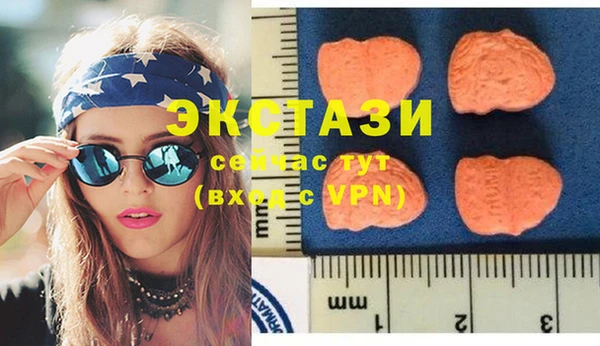 индика Володарск