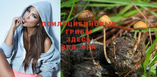 крисы Волоколамск