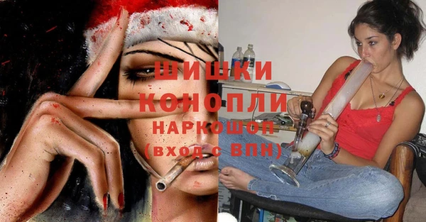 прущие грибы Волосово