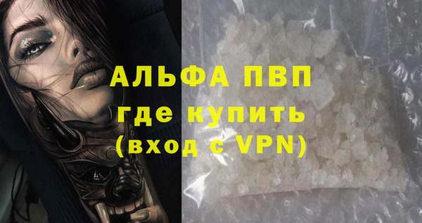индика Володарск