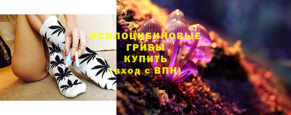 крисы Волоколамск