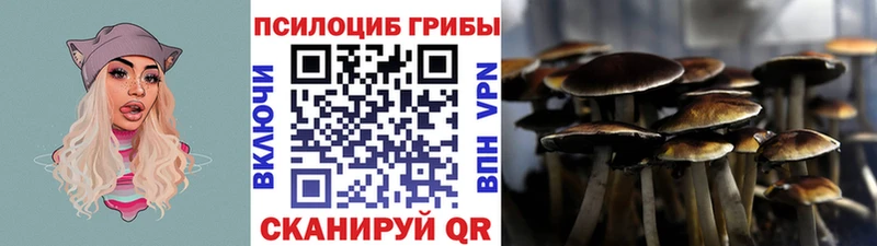 Галлюциногенные грибы ЛСД Волгодонск